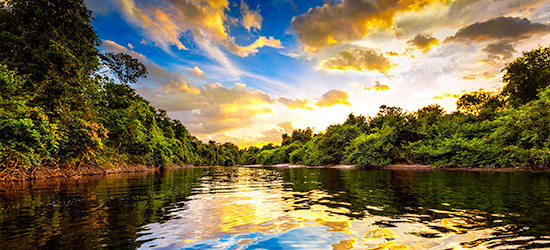 Amazon River
